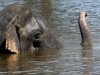 Sri Lanka 015