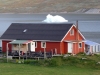 Südgrönland 018