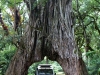 Tansania-003