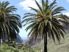 Teneriffa-02