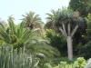 Teneriffa-14