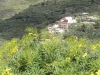 Teneriffa-27