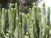Teneriffa-32