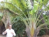 Teneriffa-33