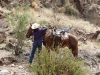 Texas-036