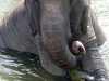 Thailand-019
