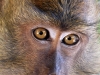 Thailand-033