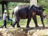 Thailand-039