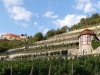 Saale-Unstrut-006