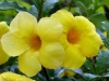 Vietnam 028