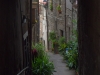 20240908-Viterbo-SSp11