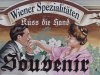 Rotes-Wien-016
