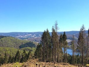 Wandern mit Fernsicht und Klettern an der Felswand Fitness
