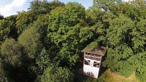 Wilde Wälder, Kunst und Kulinarisches Gesellschaft