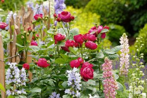 Exotische Blüten, betörende Düfte Gesellschaft