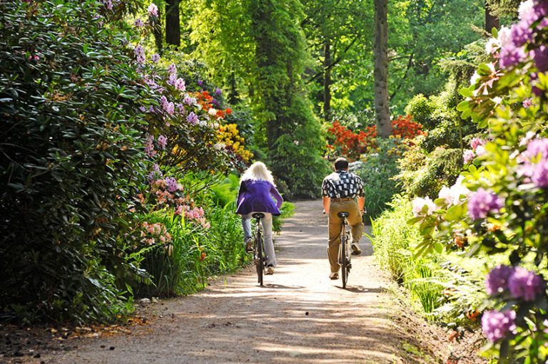 Nach der Blütentour locken Smoortaal und Löffeltrunk