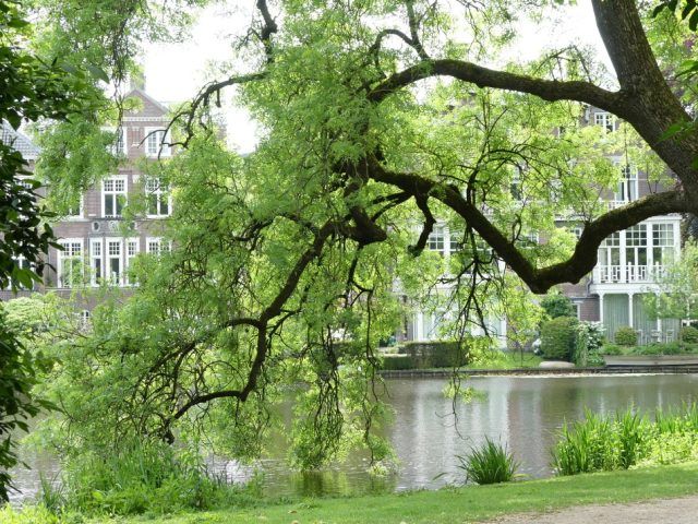 Uferlandschaft am Vondel-Park