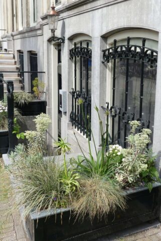 Hauskulisse im Grachtenviertel