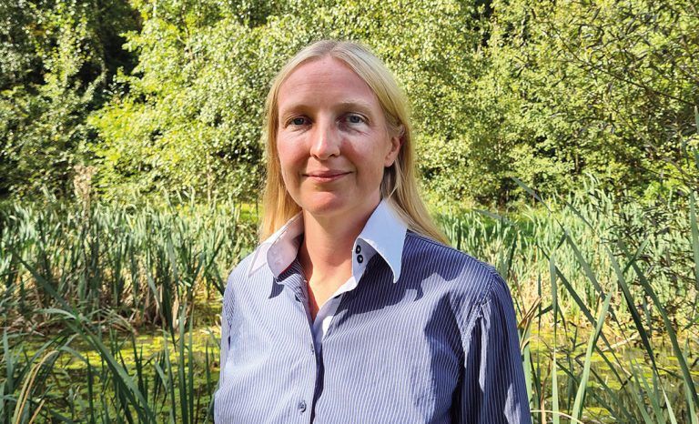 Cannabis-Legalisierung