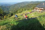 Unterwegs auf zwei Rädern im Schwarzwald