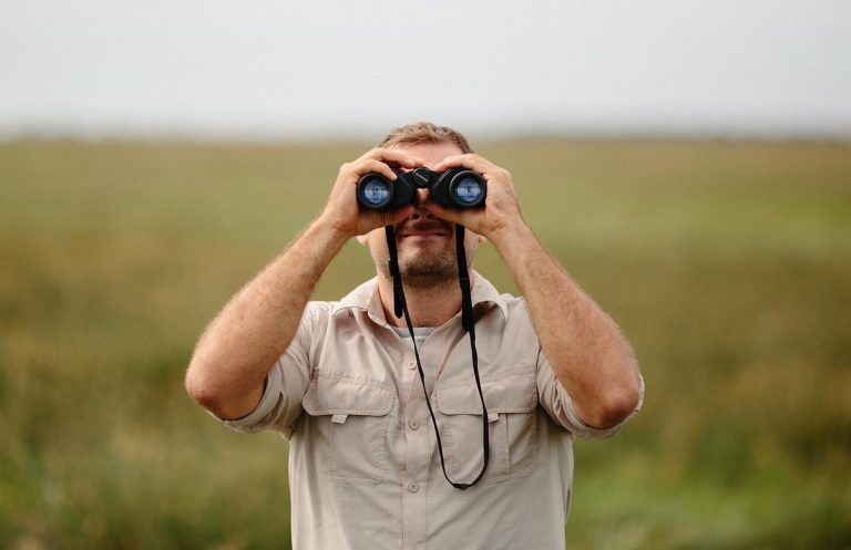 Die Zukunft der Arbeit