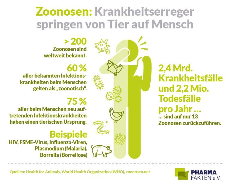 Mpox: Die wichtigsten Antworten