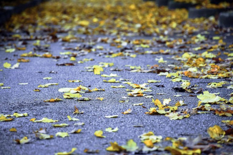 Unter einer Laubschicht ist mit Glätte zu rechnen