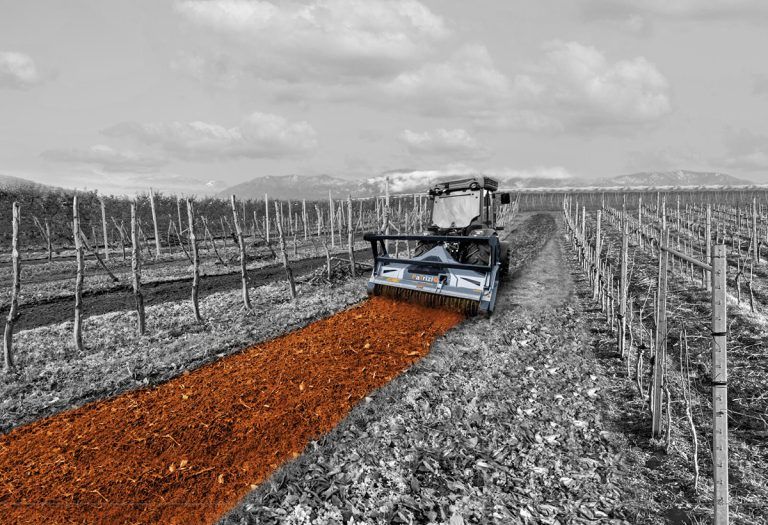 Die Rolle von Forstmulchern im modernen Flächenmanagement