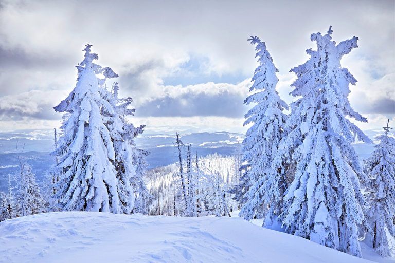 Höchste Auszeichnung!