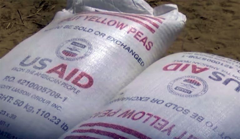 Politik: Wer füllt die Lücke?