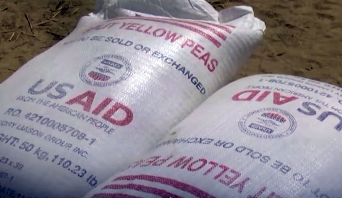 Politik: Wer füllt die Lücke?