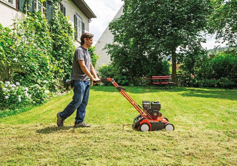 Frischekur für müde Rasenflächen
