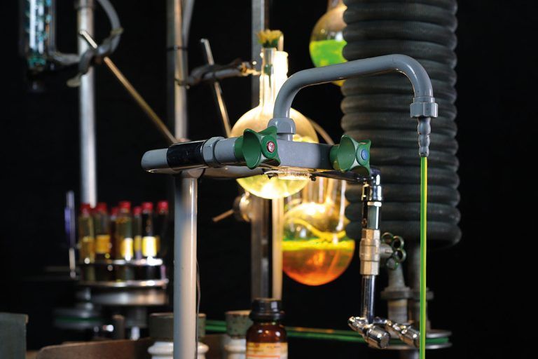 Cannabis-Extrakt tötet gefährliche Pilze sicher