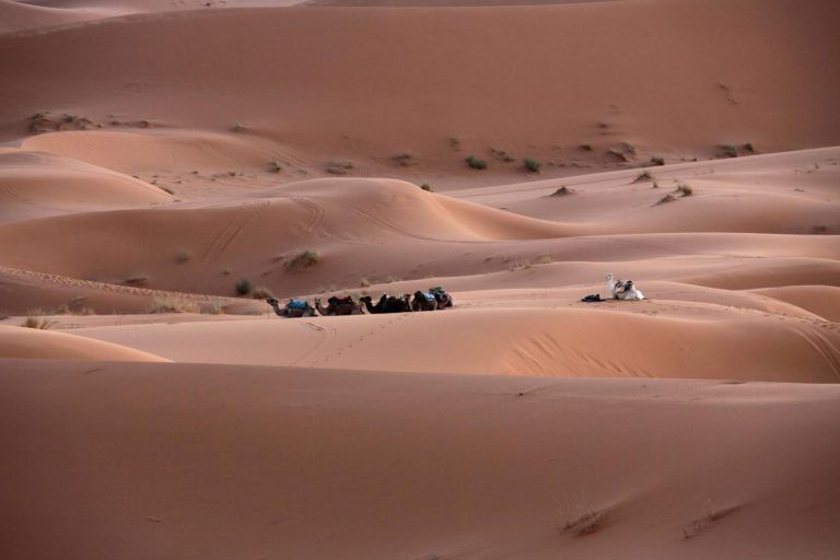 Reisen in der Trendfarbe 2025: Die weltweit schönsten Orte in „Mocha Mousse“