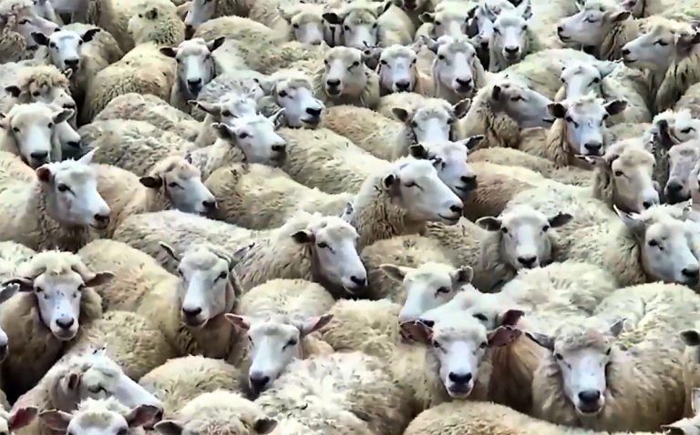 Politik: Ideologie schlägt Interesse