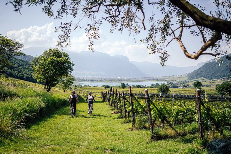 Wo der Wein den Weg weist