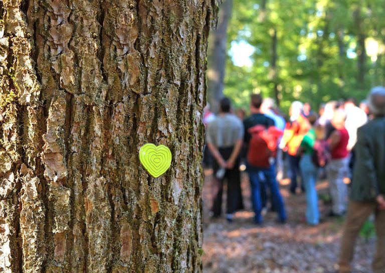 Gemeinsam in den Wald