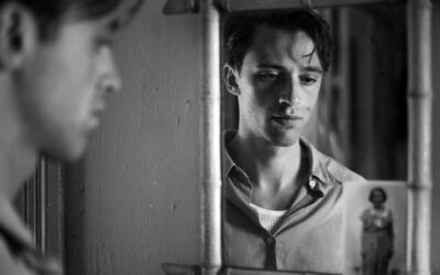 Der Fremde Der Fremde