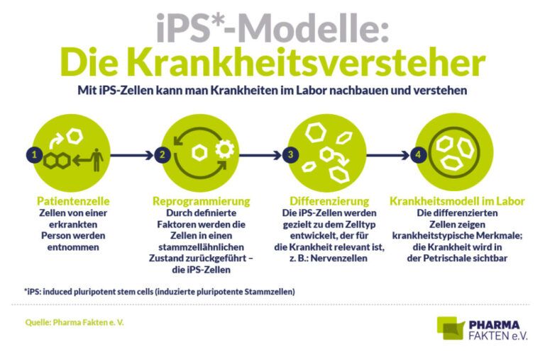 Arzneimittelforschung: Ein neues Kapitel in der Neurologie