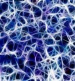 Hirnzellen lassen sich bald besser schützen Hirnzellen lassen sich bald besser schützen