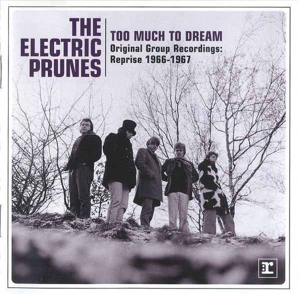 Musikvideo: The Electric Prunes – I Had Too Much To Dream