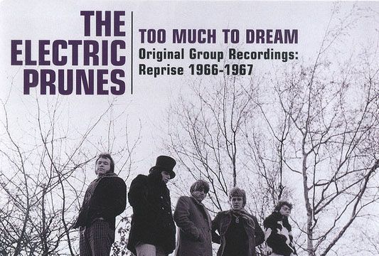 The Electric Prunes – I Had Too Much To Dream
