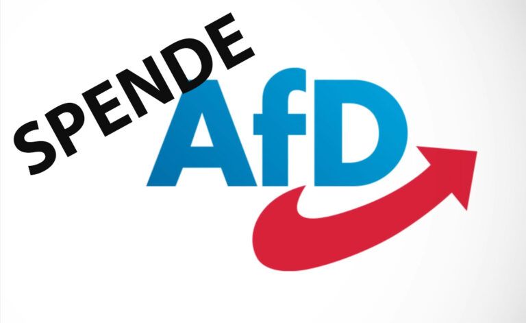 AfD darf Millionenspende nicht annehmen AfD darf Millionenspende nicht annehmen