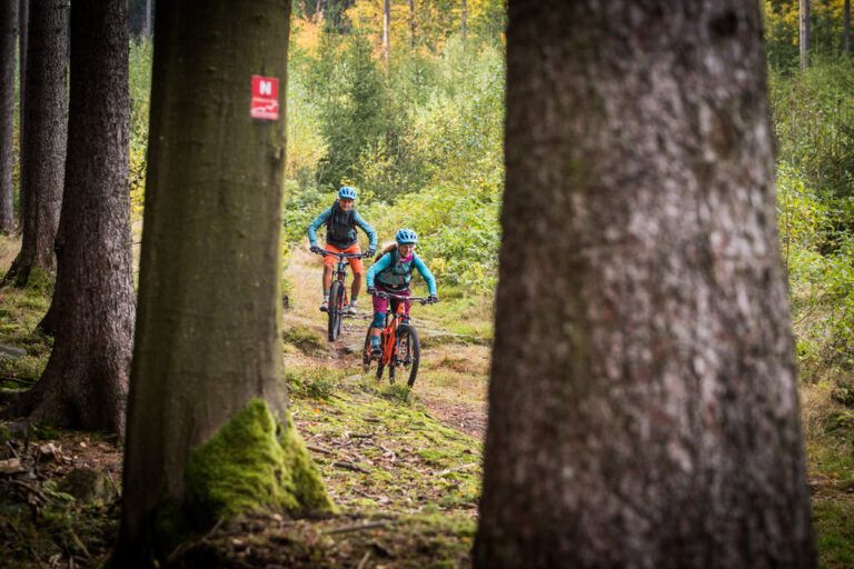 450 Kilometer langes Netz an Mountainbike-Trails