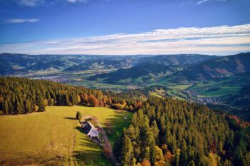 Gesellschaft