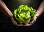 Deutsche Redewendung:“ Da haben wir den Salat“