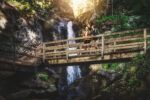 Deutschlands schönster Wanderweg 2026 liegt im Bayerischen Wald Deutschlands schönster Wanderweg 2026 liegt im Bayerischen Wald