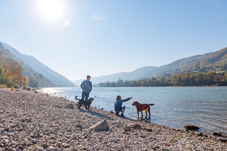 Erfrischende Ferien auf vier Pfoten Erfrischende Ferien auf vier Pfoten